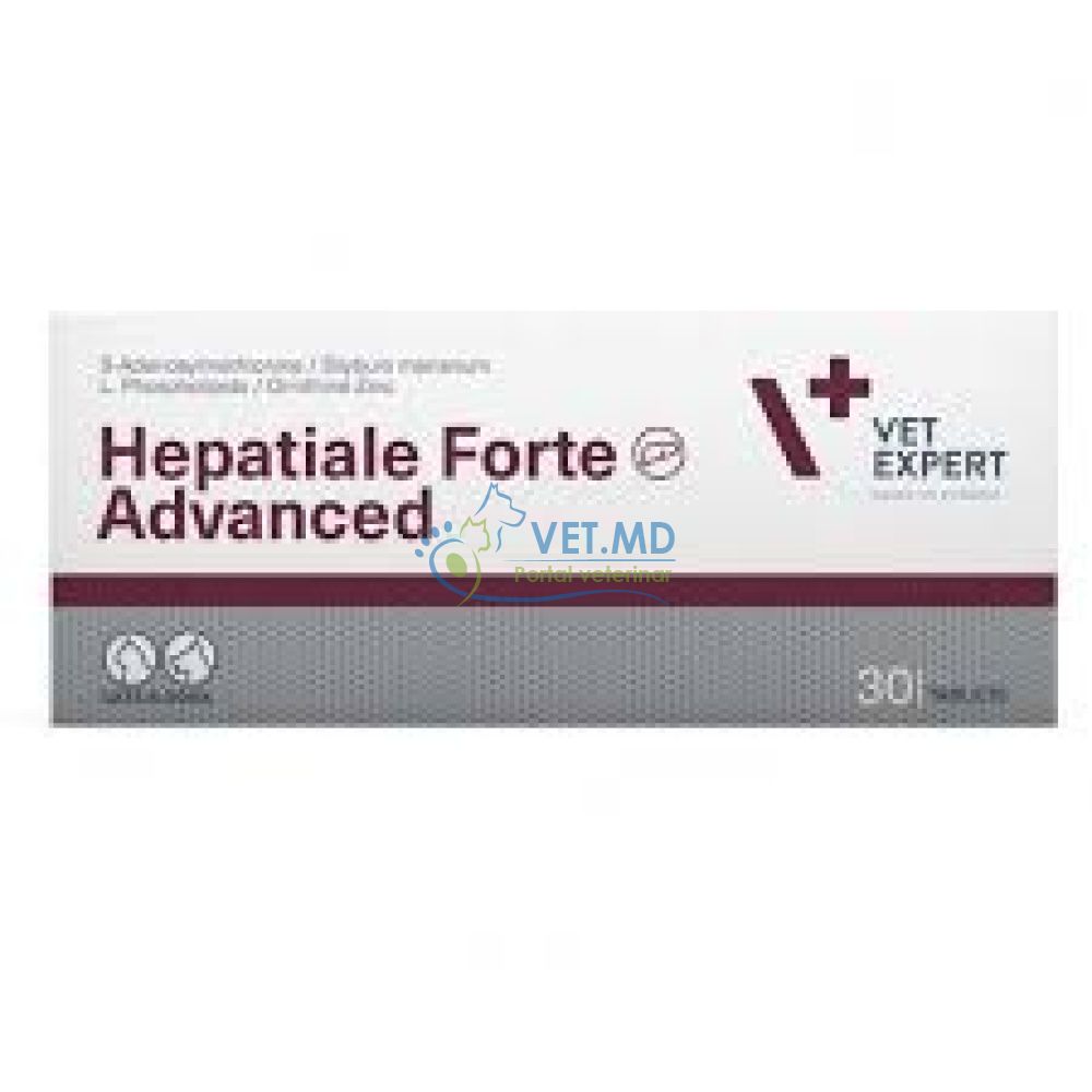 Hepatiale Forte Advanced 10 pastile